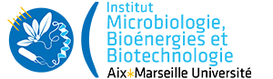 Site de l'Institut Microbiologie, Bioénergies et Biotechnologie