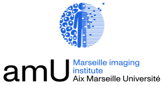 Institut Marseille Imaging website
