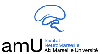 Website of the Neuro Institute Marseille