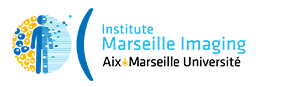 Site de l'Institut Marseille Imaging