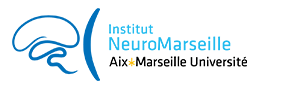 Site de l'Institut Neuro Marseille